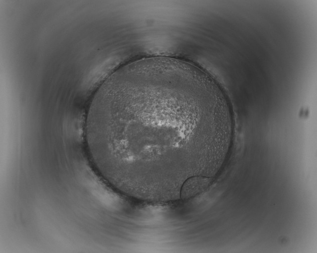 X0000111510065200907141346