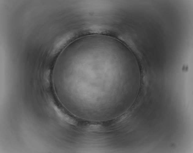 X0000111510066200907141346