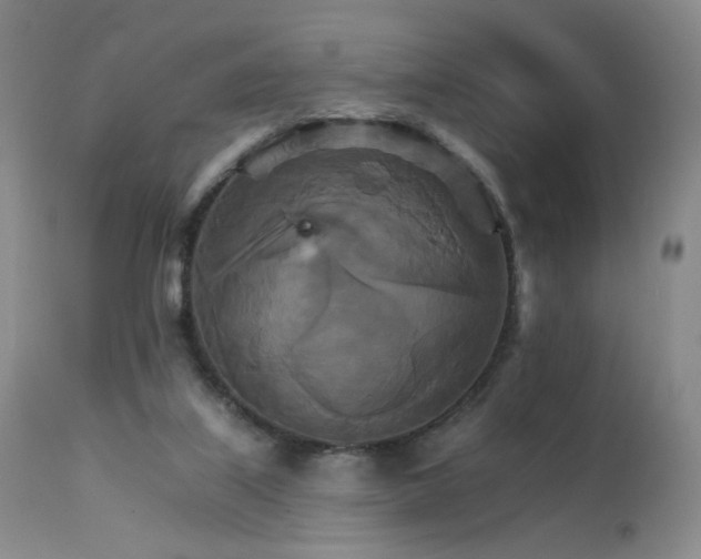 X0000111510067200907141346