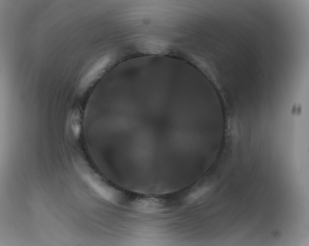 X0000111510069200907141346