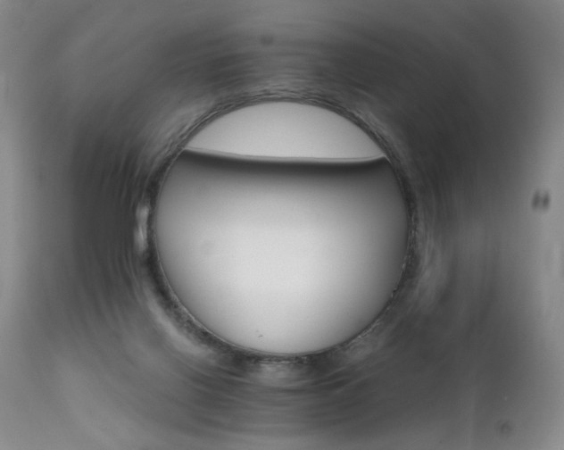 X0000111510070200907141346