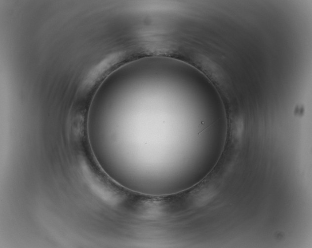 X0000111510071200907141346