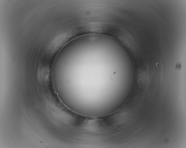 X0000111510072200907141347
