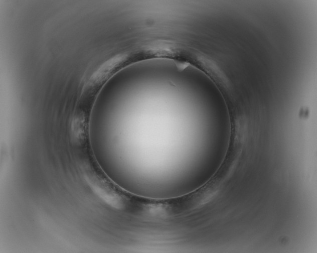 X0000111510073200907141347