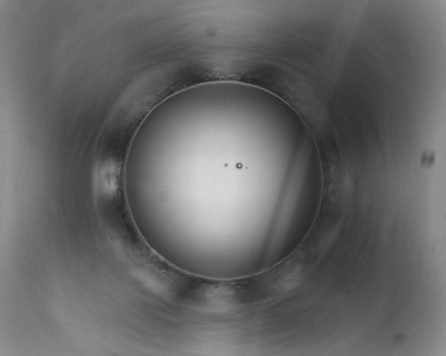 X0000111510075200907141347