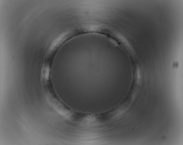 X0000111510076200907141347