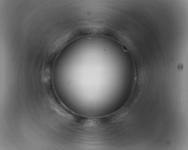 X0000111510077200907141347