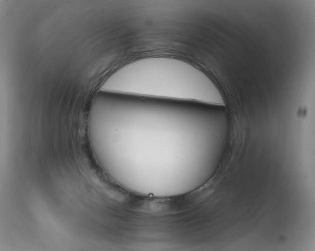 X0000111510078200907141347