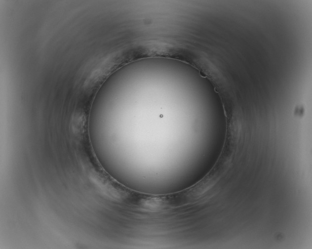 X0000111510079200907141347