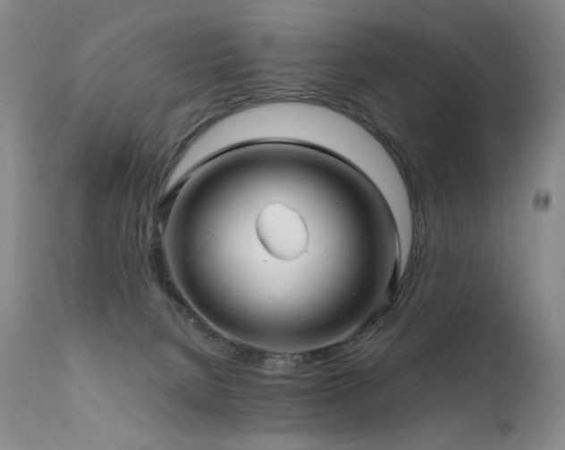 X0000111510080200907141347