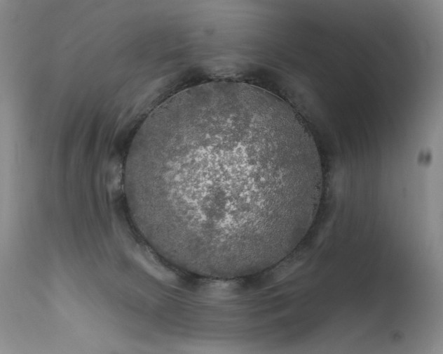 X0000111510081200907141347