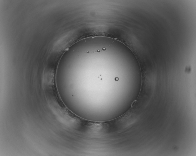 X0000111510083200907141347