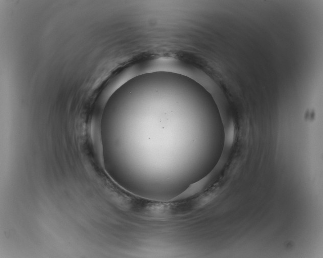 X0000111510084200907141347