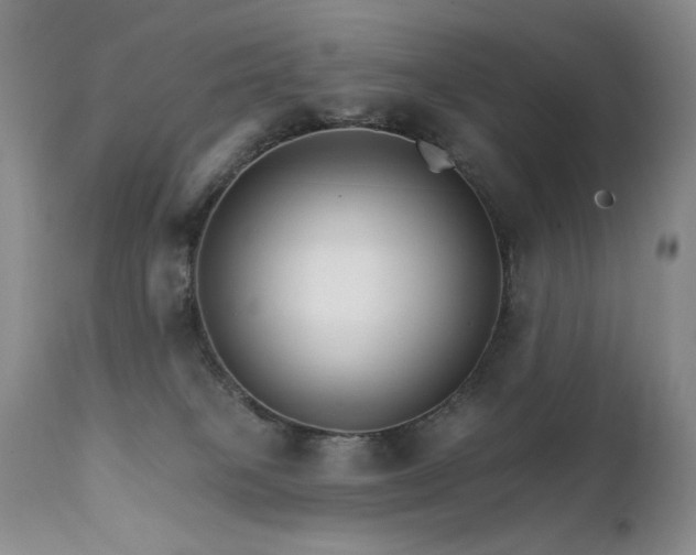X0000111510085200907141347