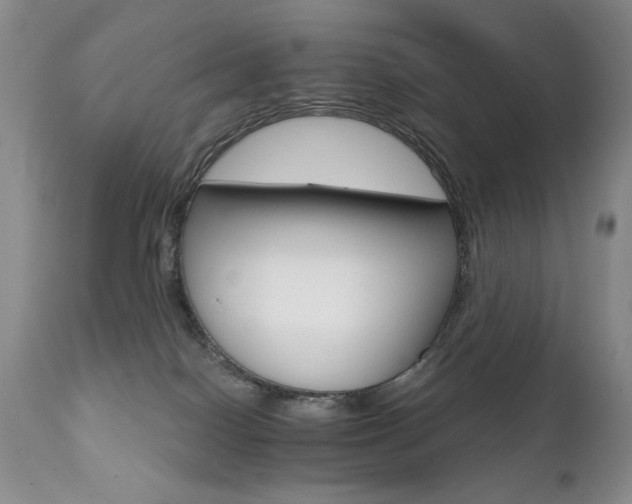 X0000111510086200907141347