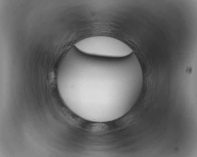 X0000111510087200907141347
