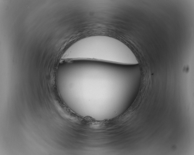 X0000111510088200907141347