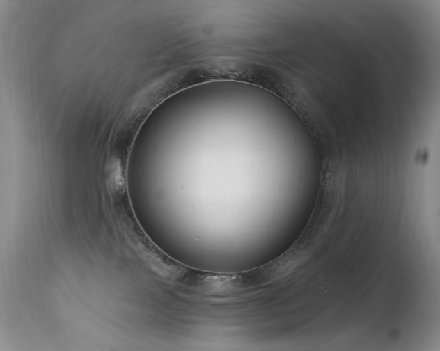 X0000111510089200907141347