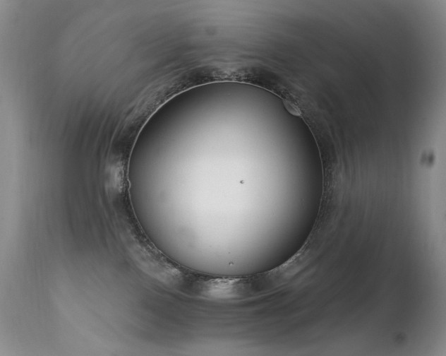 X0000111510090200907141347