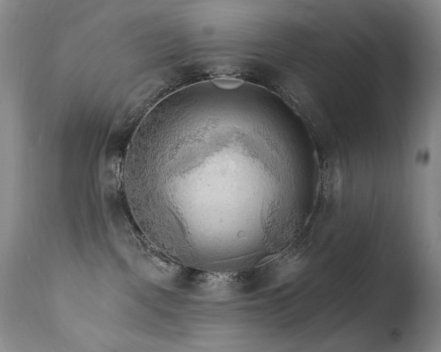 X0000111510093200907141347