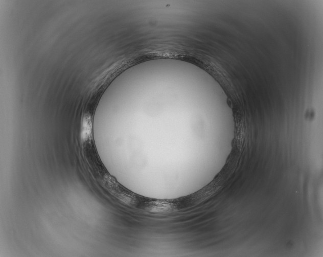 X0000111510095200907141347