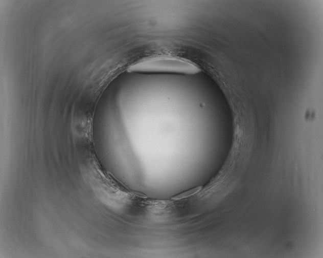 X0000111510096200907141347