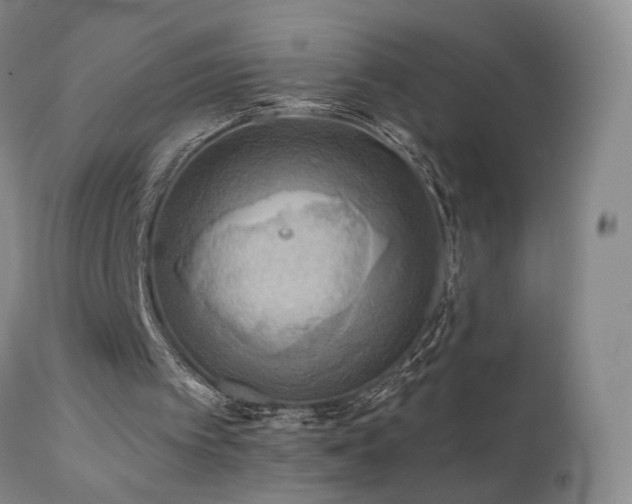 X0000111510097200907141346