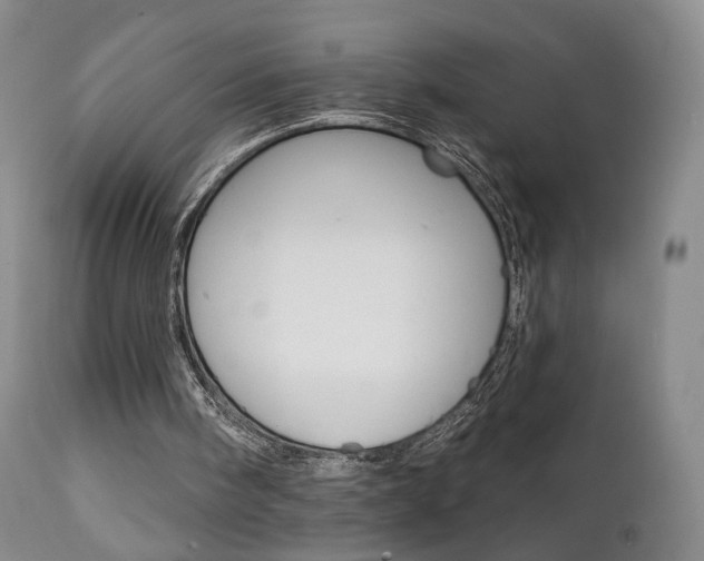 X0000111510098200907141346