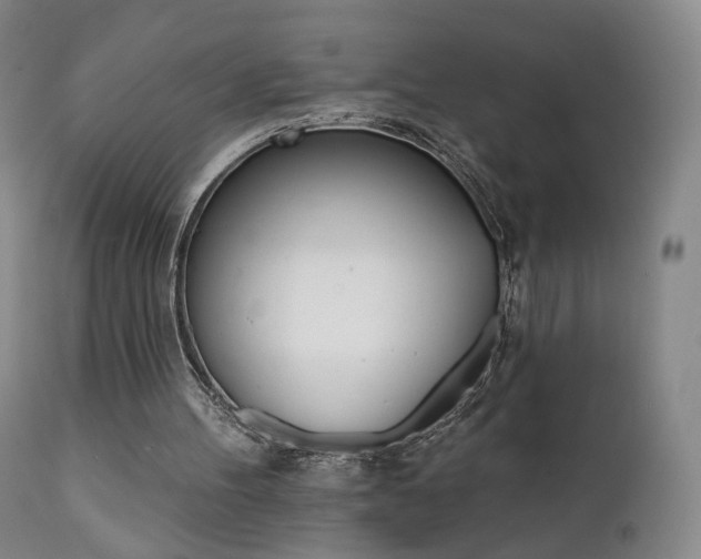 X0000111510100200907141346