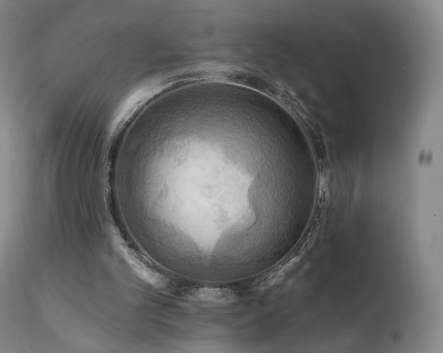 X0000111510101200907141346