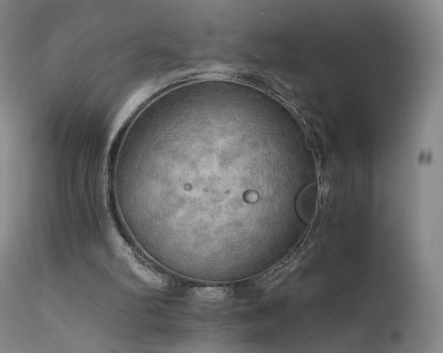 X0000111510102200907141346