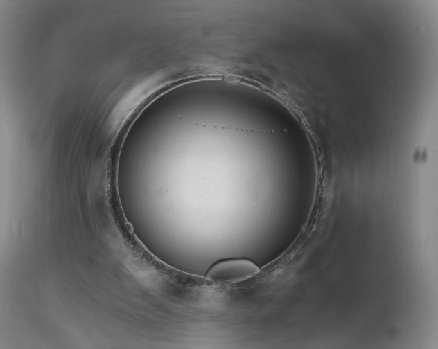 X0000111510103200907141346