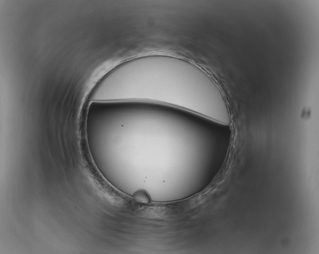 X0000111510104200907141346
