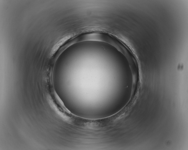 X0000111510105200907141346