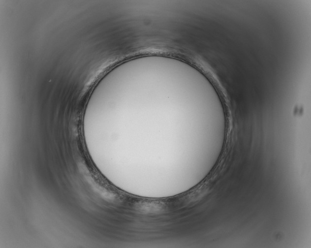 X0000111510106200907141346