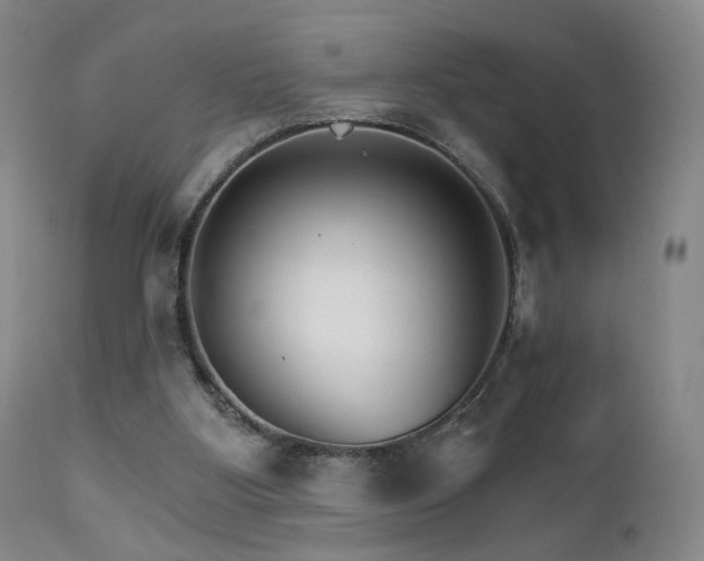 X0000111510107200907141346