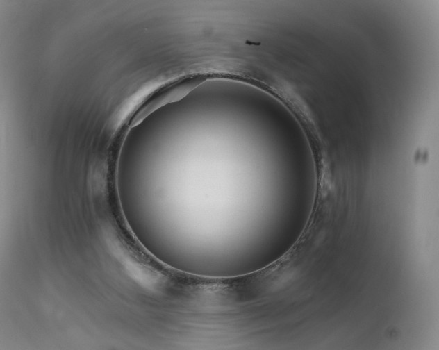 X0000111510108200907141346