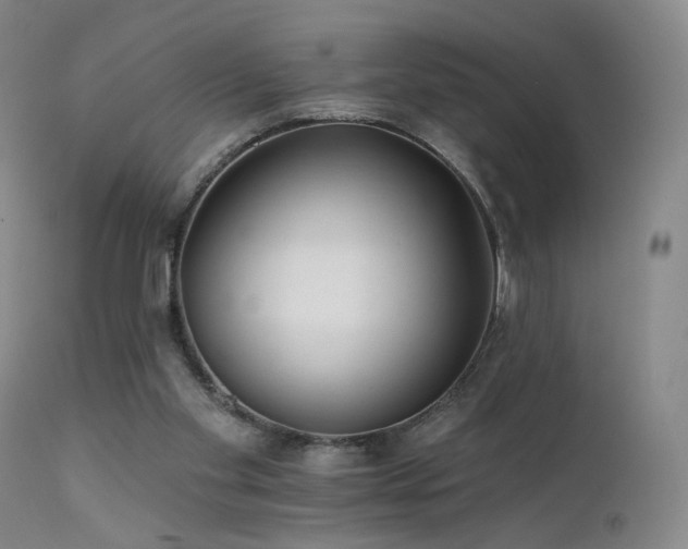 X0000111510109200907141346