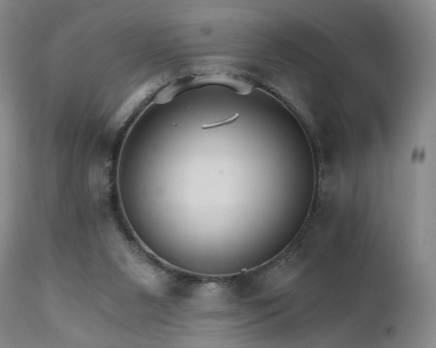 X0000111510111200907141346