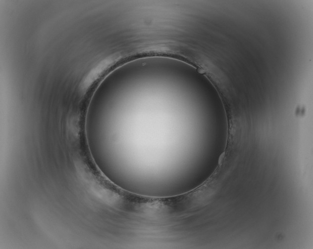 X0000111510112200907141346