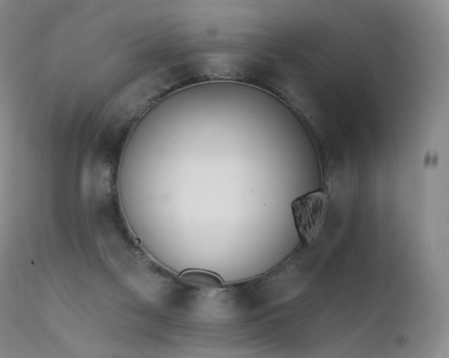 X0000111510117200907141346