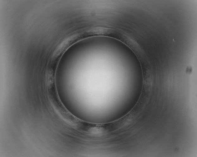 X0000111510119200907141346