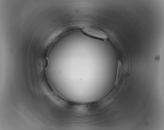 X0000111510120200907141346