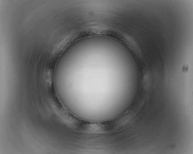 X0000111510121200907141346