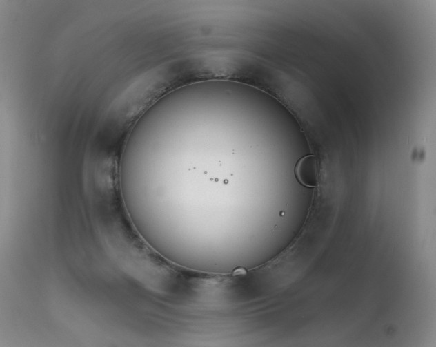 X0000111510122200907141346