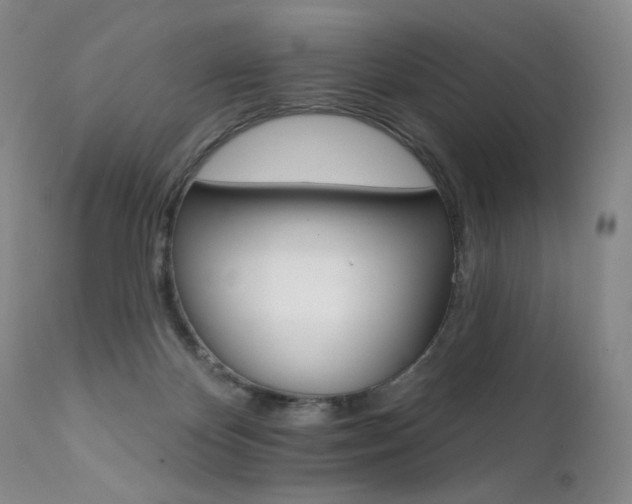 X0000111510124200907141346
