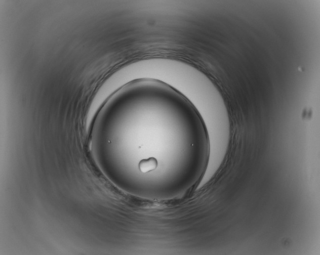 X0000111510125200907141346