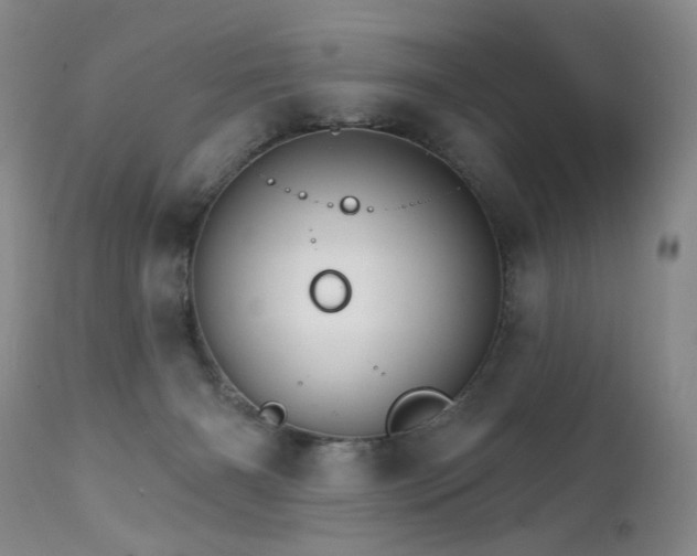 X0000111510126200907141346