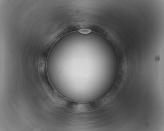 X0000111510129200907141346