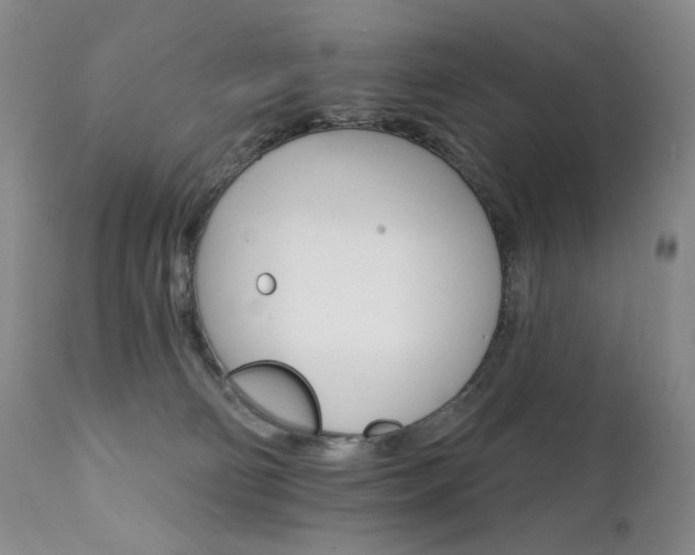 X0000111510130200907141346